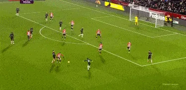 1737219932990292.gif 2.gif