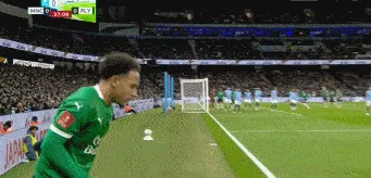 1740858411431738.gif 2.gif